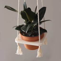 Indoor Planter/6In Plant Hanger Rubber Tree Hanging Macrame Cotton Rope Clay Pot - thumbnail 2