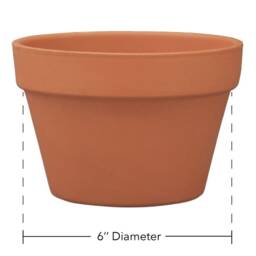 Indoor Planter/6In Plant Hanger Rubber Tree Hanging Macrame Cotton Rope Clay Pot - thumbnail 4