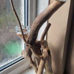 Driftwood Tealight Holder - thumbnail 3