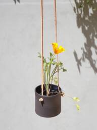 Black Hanging Planter With Leather Straps, Minimalist Pottery Pot, Ceramic Planter, Succulent Modern