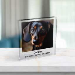 Dog Memorial Photo Frame Keepsake, Cat Photo, Pet Keepsake For Gift, Personalised Acrylic Plaque - thumbnail 2