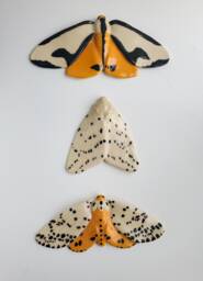 Handmade Ceramic Moth Wall Decor Botanical Art Hanging Set - thumbnail 1