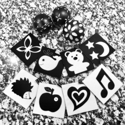 Montessori Newborn Felt Cards Black & White Baby Visual Stimulation - thumbnail 2