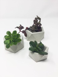 Succulent Planter, Planters For Succulents, Planter Set, Pot, Gift Plant Lover, Gardener Housewarming