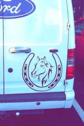 Large 20 X Lucky Horse Shoe Head Vinyl Car Bonnet Side Sticker Decal Wall Art Animal Graphic Van Horsebox Trailer Box Racing