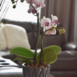 3D Printed Flower Pot - Pots Little Vase Table Geometric Design Orchid Indoor Planter - thumbnail 2