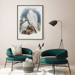 Greenland Falcon Print, Vintage Poster, John Gould Illustration, Nature Decor, Wildlife Picture, Antique Bird Drawing, Animal Retro Digital - thumbnail 2