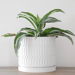 "Mabel Planter With Drainage & Saucer in White, Boho 3D-Printed Plant Pot, Small To Large Sizes 4"" 5"" 6"" 7"" 8" - thumbnail 2