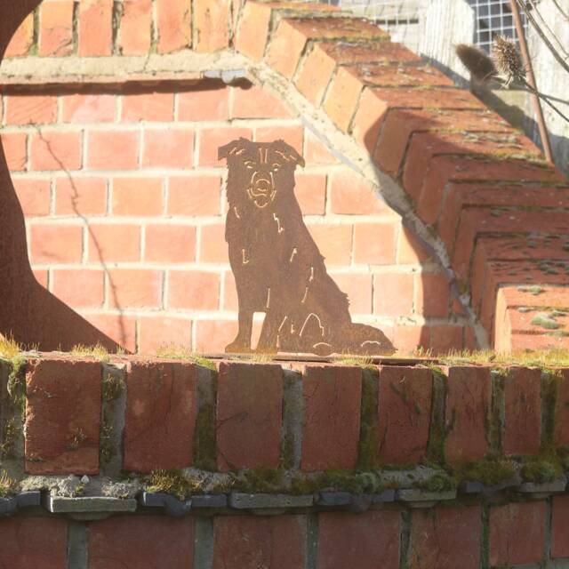 Rusty Metal Border Collie Garden Decoration, Sheepdog Gift