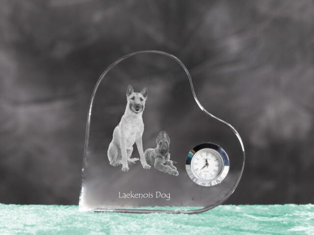 Laekenois - Crystal Clock in The Shape Of A Heart With Image Pure-Bred Dog - image 1