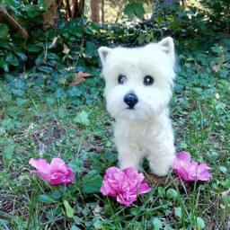 Custom Needle Felted Westie Merino Wool Pet Sculpture Replica - thumbnail 3