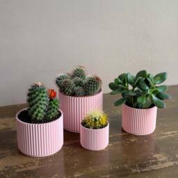Set Of 4 Pink 3D Printed Planters Modern Home Decor - thumbnail 1