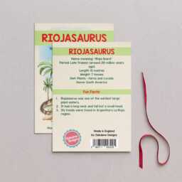 Wooden Riojasaurus Dinosaur Christmas Tree Decoration, Birch Plywood Lover Gift, Keepsake, Watercolour Art - thumbnail 2