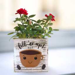 Hand Painted Coffee Cup Planter Whitewashed Wood Succulent Pot - thumbnail 3