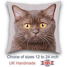 Brown Shorthair Cushion, Choice Of Sizes, Handmade - thumbnail 1