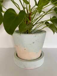 Large Concrete Planter