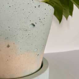 Large Concrete Planter - thumbnail 2