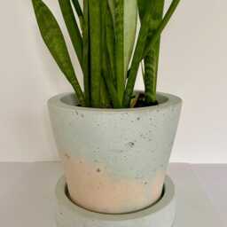 Large Concrete Planter - thumbnail 3