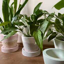 Large Concrete Planter - thumbnail 4