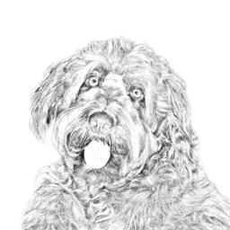 Otterhound - Wooden Stand For Candles/Pens With The Image Of A Dog New Collection - thumbnail 2