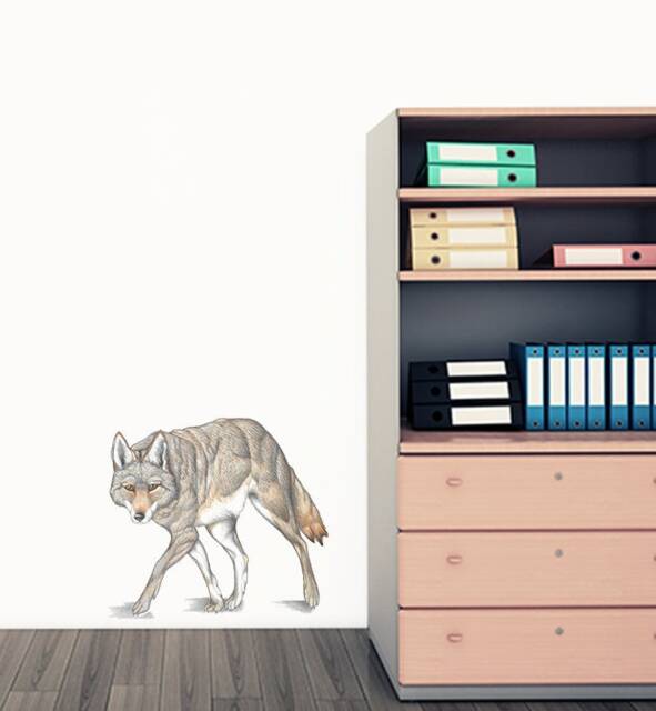 Coyote Stalking Wall Sticker Decal - Kids Stickers, Animals Childrens Decals, Art, Room, Girl, Boy
