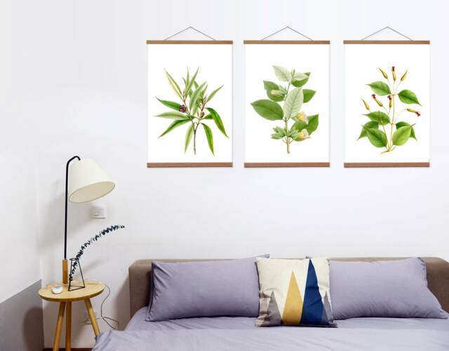 Botanical Canvas Print Set Of 3, Oak Wooden Hangers - image 1