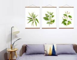 Botanical Canvas Print Set Of 3, Oak Wooden Hangers - thumbnail 1