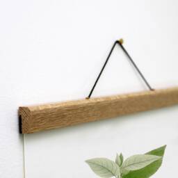 Botanical Canvas Print Set Of 3, Oak Wooden Hangers - thumbnail 2
