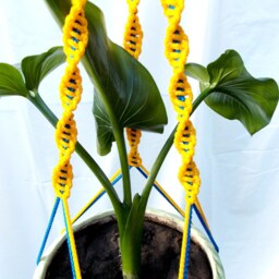Macrame Plant Holder 24 Inches 3mm - Blue & Yellow Hanging Planter Vip - thumbnail 2