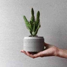 Geometrical Concrete Planter - Round Textured Desk Organizer - thumbnail 3