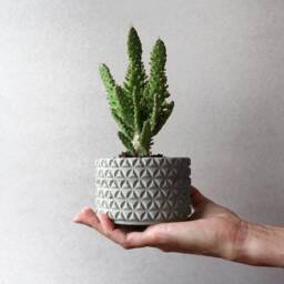 Geometrical Concrete Planter - Round Textured Desk Organizer - thumbnail 2