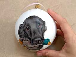 Custom Hand Painted Pet Portrait Bauble Christmas Ball Personalised Ornament Completely By From Customer Photograph Dog Art