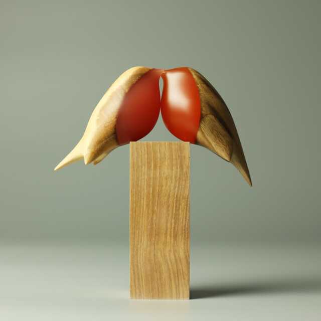 Love Robins - 315 - image 1