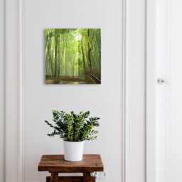 Bamboo Path Wall Mounted Key Cabinet, Green Industrial Box, Photographic Nature, For Lovers Of Nature & Peace