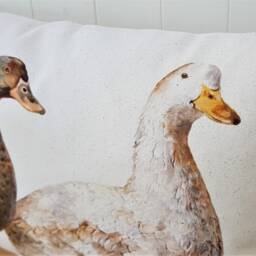 Ducks Organic Cotton Cushion Farmyard Art By Wendy Darker - 26x12 - thumbnail 3