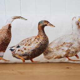 Ducks Organic Cotton Cushion Farmyard Art By Wendy Darker - 26x12 - thumbnail 2