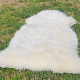Real Sheep Skin Rug , White Sheep Fur For Your Room/ Floor/ Pets 3 X 2 Ft Natural Rugs - thumbnail 3