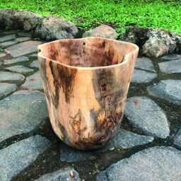 Rustic Teak Root House Plant Pot Holder Bowl 28cm - thumbnail 2