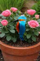 Fused Glass Kingfisher Garden Art - Handmade Copper Plant Pot Decoration/Weatherproof