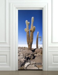 Cactus Door Wall Decal, Wallpaper, Mural, Nature Art, Decor, Wrap, Fridge Sticker - thumbnail 2