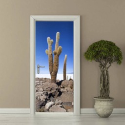 Cactus Door Wall Decal, Wallpaper, Mural, Nature Art, Decor, Wrap, Fridge Sticker - thumbnail 3