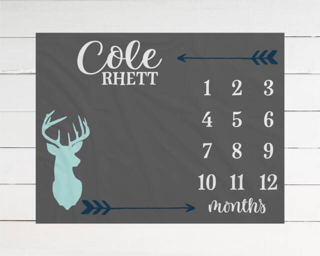 Gender Neutral Milestone Deer Blanket Month Growth Tracker Minky Fleece Baby Shower Gift Girl Boy Arrow - image 1