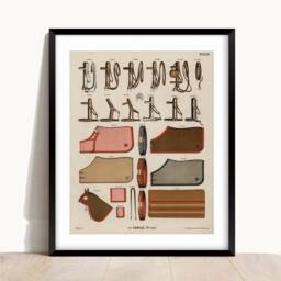 Antique Horse Riding Equipment Art Print Equestrian Illustration - thumbnail 2