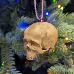 Christmas Tree Ornament - Human Skull Replica Painted Miniature, 2 Inches Tall, Halloween, Gothic Decor, Winter Decor - thumbnail 2