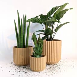 Eco-Friendly Plant Pot - Roman Modern Minimalist 3D Printed Geometric Planter - thumbnail 3