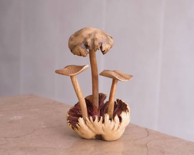 Exotic Mushroom Sculpture, Fungi, Handcraft, Rustic, Wood Carving, Boyfriend Gift, Home Decor, Apartment Gift For Mom, Grandma - image 1