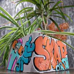 Graffiti Plant Pot - Concrete Desk Organizer & Fingerboard Skate Ramp by  Etsy | uFurnish.com
