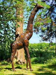 Recycled Metal Handcrafted Giraffe. Garden Outdoor Sculpture, Statue. Safari. Handmade Giraffes - thumbnail 4