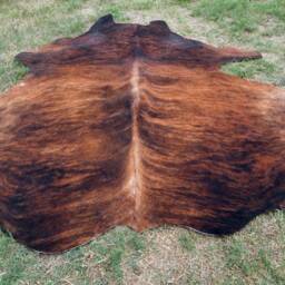 Brindle Redish Brown Large New Cowhide Rug Natural Hair On - 7x7 Ft Size Approx Tri-Color Brown Tones Extra Soft Carpet Cow Hide 6x6 Rs - thumbnail 2