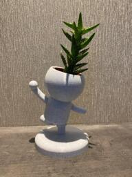 "Cricket Gift Succulent Planter ""Wee Jimmy Muralitharan The Bowler" - thumbnail 1